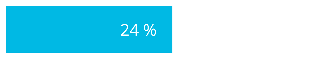 Infografik 28 - 24%