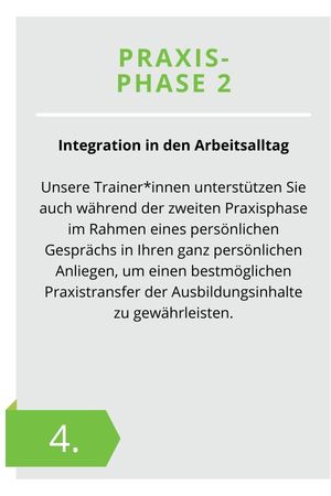 Grafik Ausbildungsstruktur Young Professional Leader Part 4