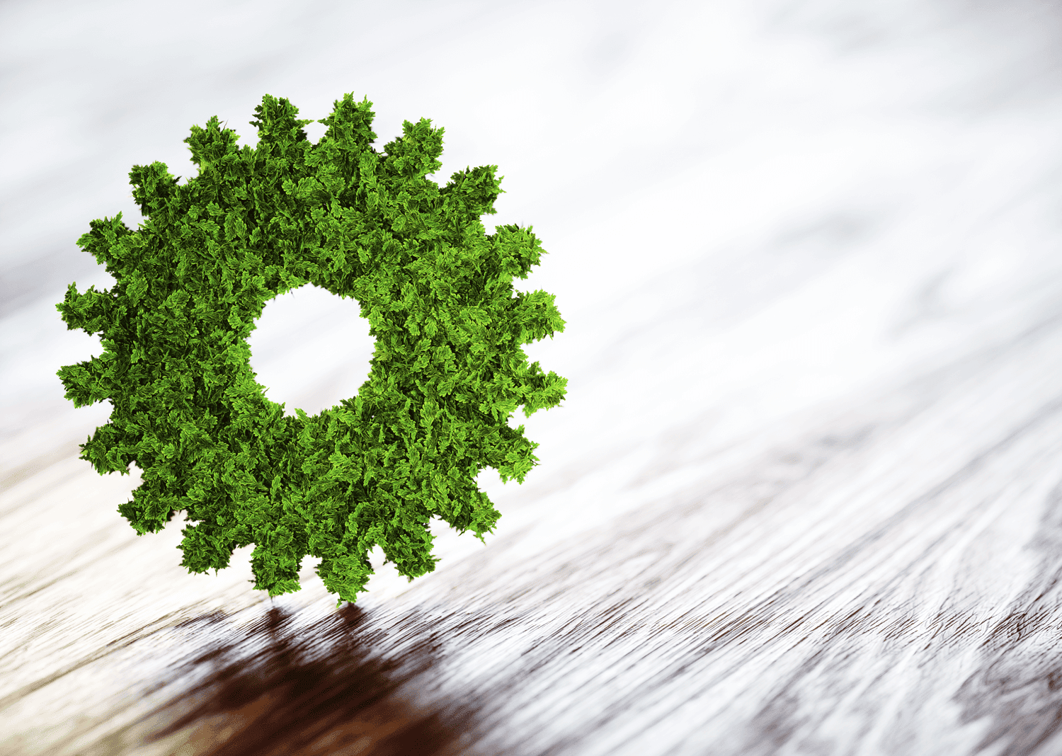 Green Transformation
